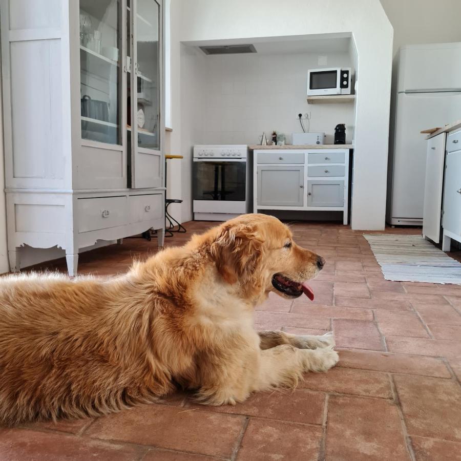 הוילה Casa Magana Em Grândola מראה חיצוני תמונה
